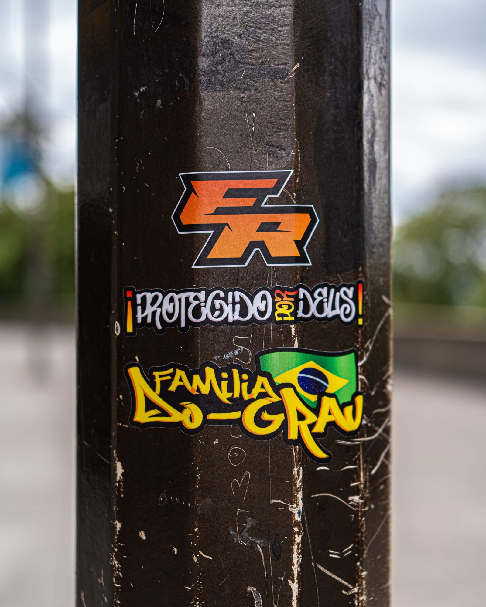 Cartón 2026 — Vista 4